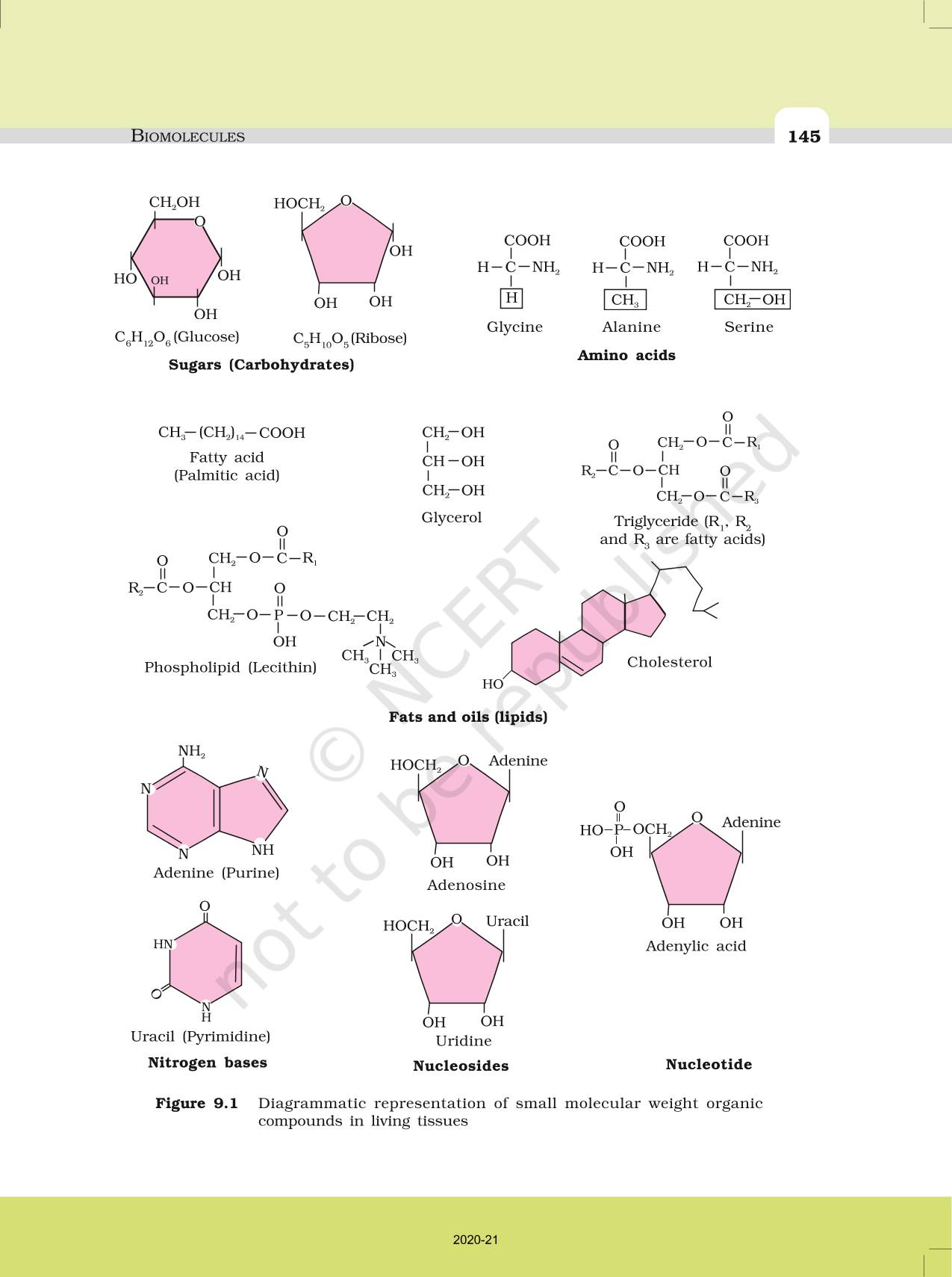 Biomolecules Ncert Book Of Class Biology